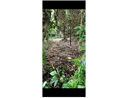 11 cent land for sale at near Mala,Madathumpady,Thrissur