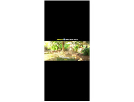 9.93 cent and 8 cent land for sale at near Kairali street, Kaloor, Eranakulam