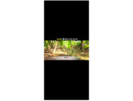 9.93 cent and 8 cent land for sale at near Kairali street, Kaloor, Eranakulam