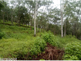 5 acre land for sale, near Vembayam, Thiruvananthapuram