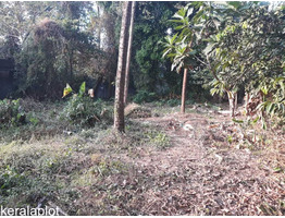 4.5 cent land for sale at near Puthan Road, St. baptist Church, Nedupuzha ,Thrissur