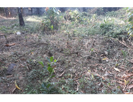 4.5 cent land for sale at near Puthan Road, St. baptist Church, Nedupuzha ,Thrissur