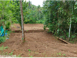 1 acer plot for sale at near Vellanikkod, Thrissur