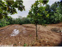 1 acer plot for sale at near Vellanikkod, Thrissur