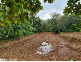 1 acer plot for sale at near Vellanikkod, Thrissur