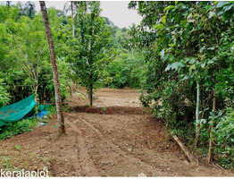 1 acer plot for sale at near Vellanikkod, Thrissur