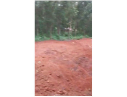 29 cent land for sale near koothattukulam  ernakulam