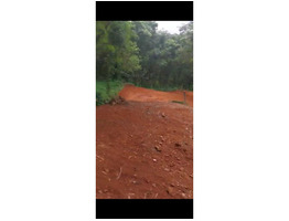 29 cent land for sale near koothattukulam  ernakulam