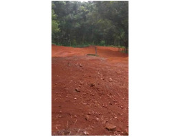 29 cent land for sale near koothattukulam  ernakulam