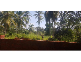 3.57 acres plot for sale near Kuthuparambu Kannur