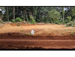 HOUSE PLOTS FOR SALE AT ARUVIKUZHI, PALLIKKATHODU, KOTTAYAM