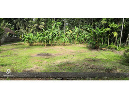 10 and 12 cent plot for sale near Ariparambu Kottayam