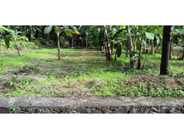 10 and 12 cent plot for sale near Ariparambu Kottayam