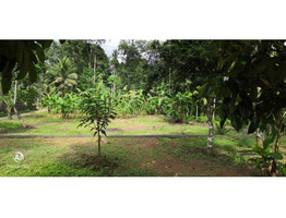 10 and 12 cent plot for sale near Ariparambu Kottayam