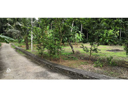 10 and 12 cent plot for sale near Ariparambu Kottayam