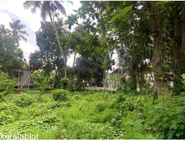 26 cent land for sale near Thiruvalla Pathanamthitta