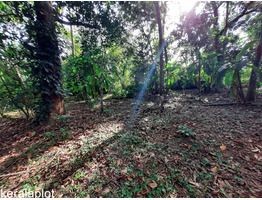 84 cent land for sale at Kombidi- Mala Bus Route,kaduppassery, Thrissur