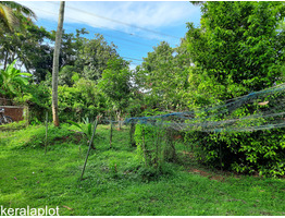 84 cent land for sale at Kombidi- Mala Bus Route,kaduppassery, Thrissur