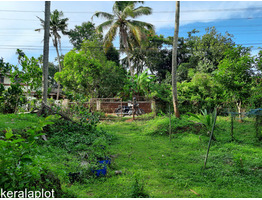 84 cent land for sale at Kombidi- Mala Bus Route,kaduppassery, Thrissur