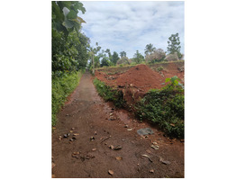 20 cent plot for sale  near Kothamangalam Malippara Ernakulam