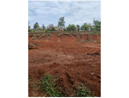 20 cent plot for sale  near Kothamangalam Malippara Ernakulam