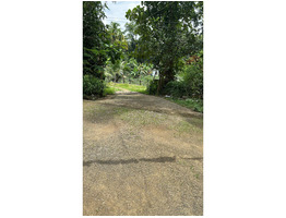 39 cent land with old house for sale near nellikkuzhy kothamangalam