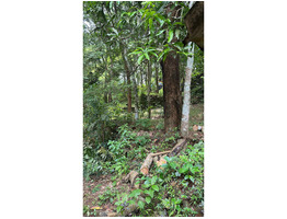 39 cent land with old house for sale near nellikkuzhy kothamangalam