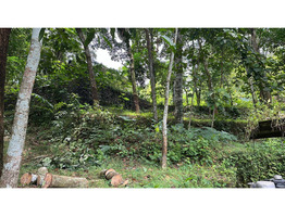 39 cent land with old house for sale near nellikkuzhy kothamangalam