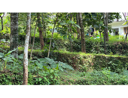 39 cent land with old house for sale near nellikkuzhy kothamangalam