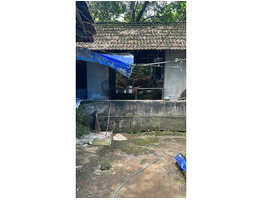 39 cent land with old house for sale near nellikkuzhy kothamangalam