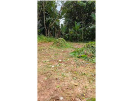 5 1/4 cent land for sale at Pallikkara, Kakkanad, Ernakulam