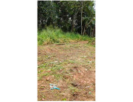 5 1/4 cent land for sale at Pallikkara, Kakkanad, Ernakulam