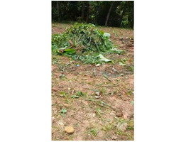 5 1/4 cent land for sale at Pallikkara, Kakkanad, Ernakulam