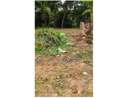 5 1/4 cent land for sale at Pallikkara, Kakkanad, Ernakulam