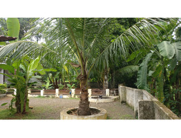 15 cent land with house  for sale  at KUmaranalloor