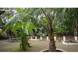 15 cent land with house  for sale  at KUmaranalloor