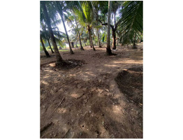 23.5 cent residential plot for sale at Thrissur,Naduvilkara