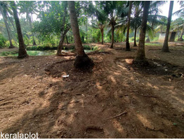 23.5 cent residential plot for sale at Thrissur,Naduvilkara