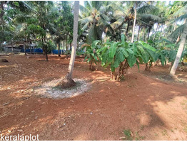 23.5 cent residential plot for sale at Thrissur,Naduvilkara