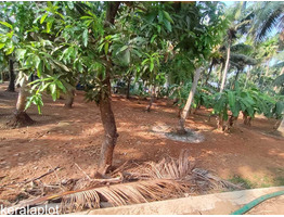 23.5 cent residential plot for sale at Thrissur,Naduvilkara