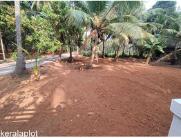 23.5 cent residential plot for sale at Thrissur,Naduvilkara