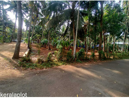 23.5 cent residential plot for sale at Thrissur,Naduvilkara