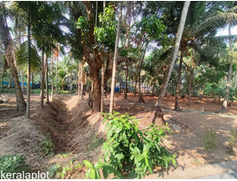 23.5 cent residential plot for sale at Thrissur,Naduvilkara