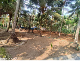 23.5 cent residential plot for sale at Thrissur,Naduvilkara