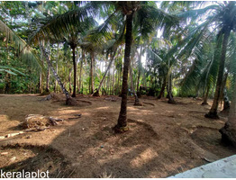 23.5 cent residential plot for sale at Thrissur,Naduvilkara