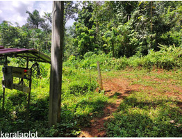 1 Acre land for sale at Nedumkunnam Town