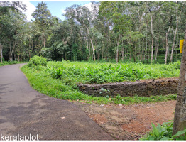 25 cent land   for Lease  near by  Nedumkunnam Town