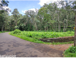 25 cent land   for Lease  near by  Nedumkunnam Town