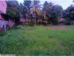 18 CENT LAND FOR SALE SALE NEAR BY Thrippunithura,irumpanam