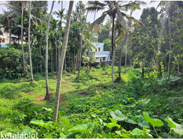 33 cent land sale at Thachottukavu(Near Peyad),Thiruvanthapuram District